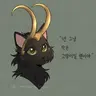 Profile image of 로키