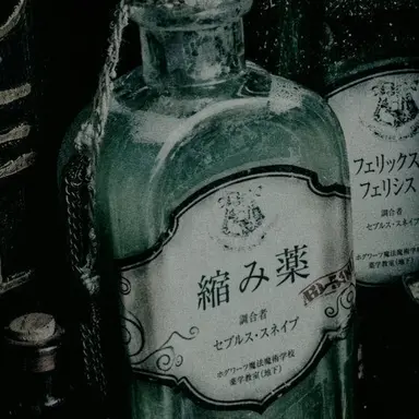Profile image of セブルス・スネイプ