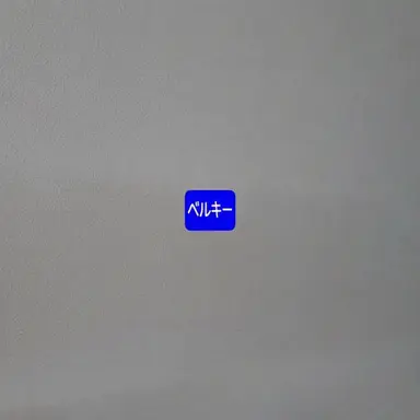 Profile image of ベルキー