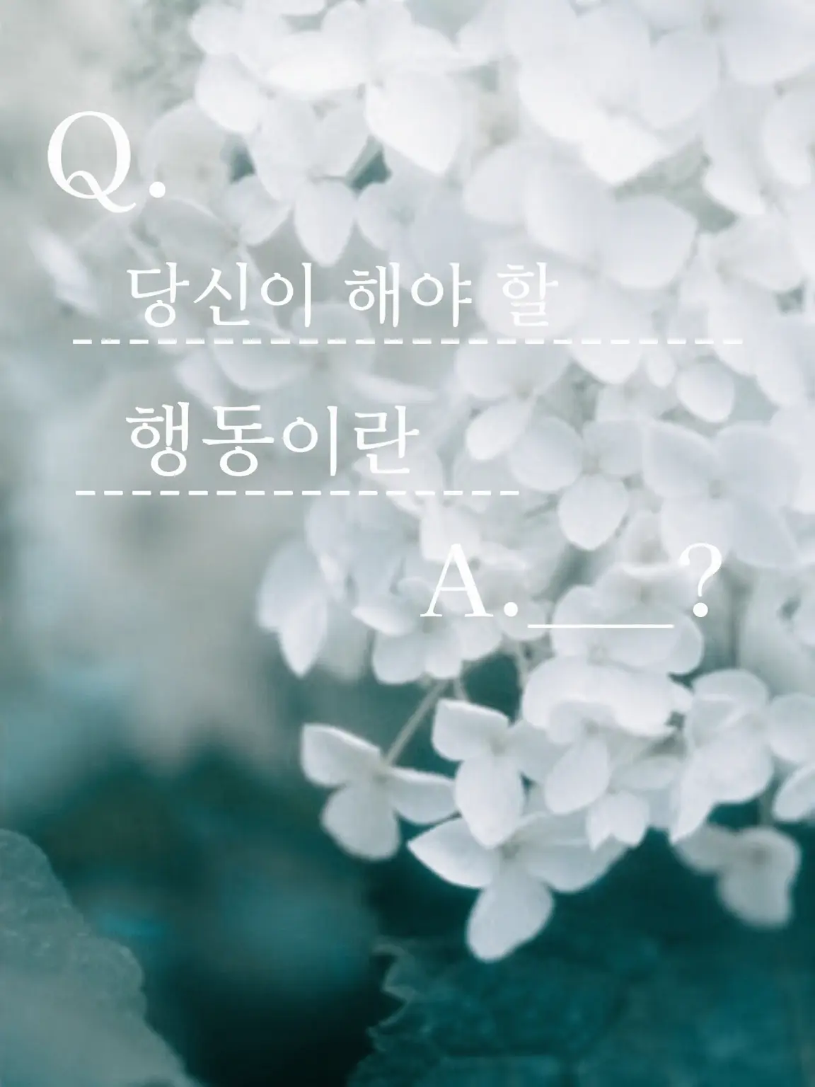 sukinakisetuhaharu의 당신이 취해야 할 행동이란