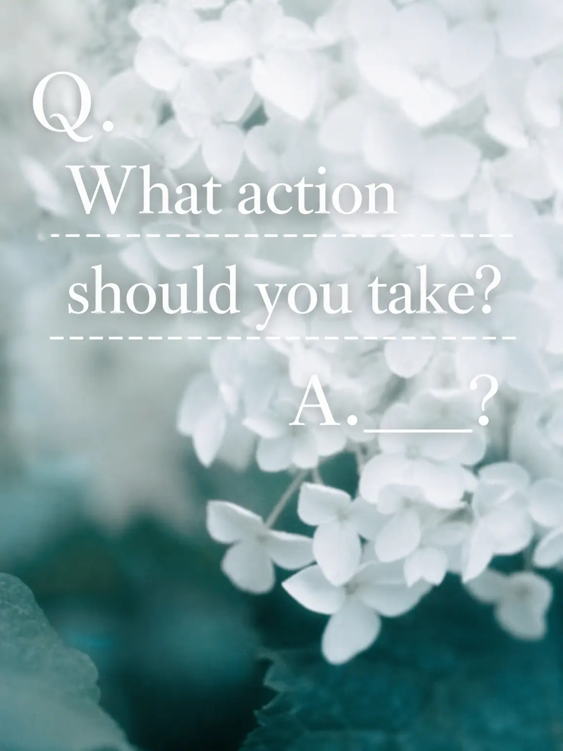 sukinakisetuhaharu의 What Action Should You Take?