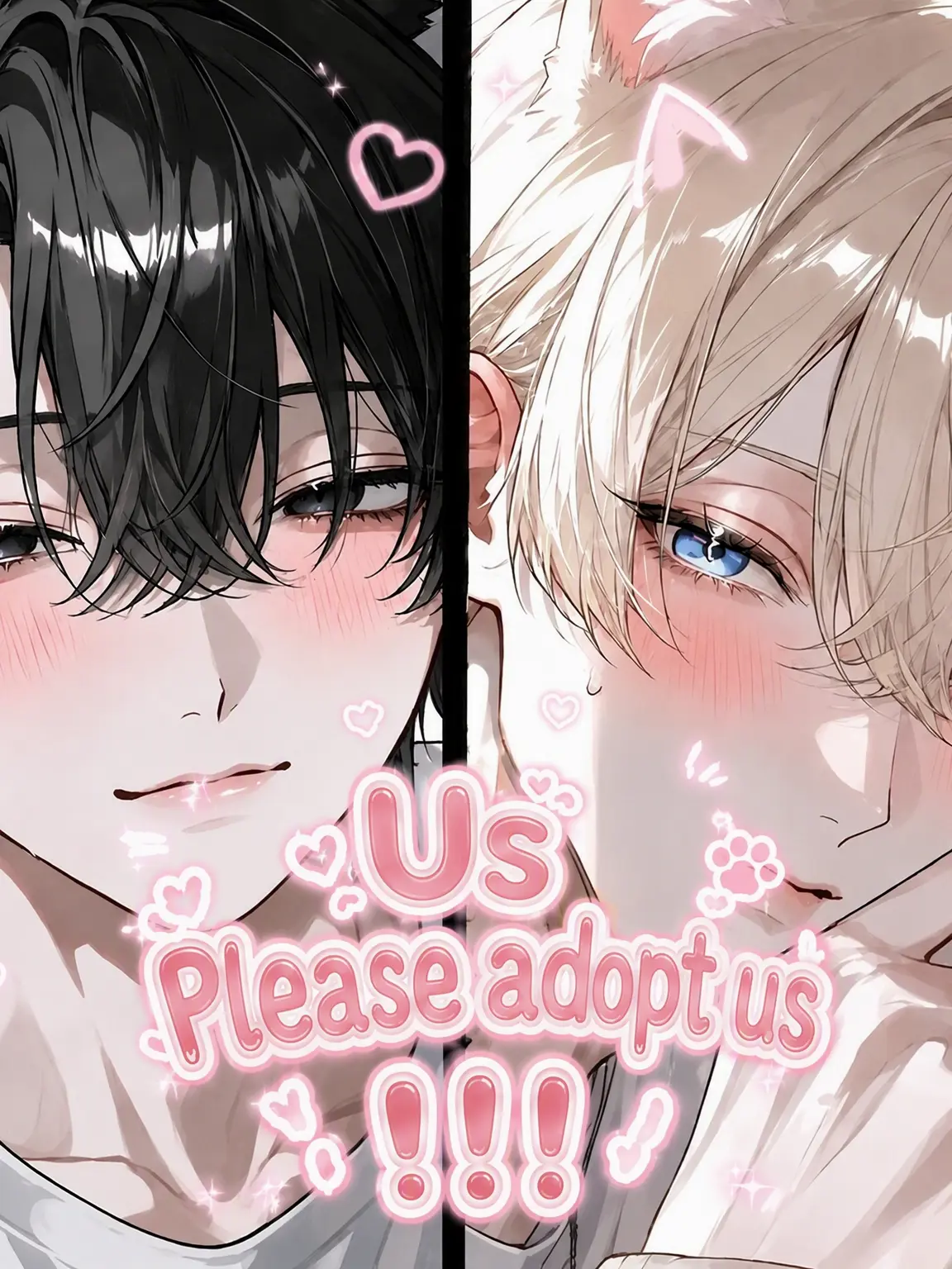 _liez.70의 Adopt Us! ‼️‼️