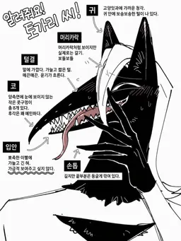 Profile image of 토가리