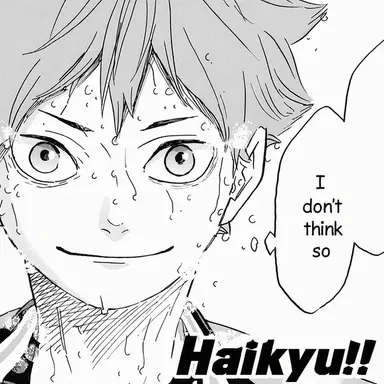 Profile image of Shoyo Hinata