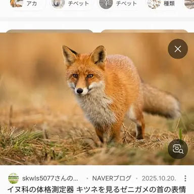 Profile image of ヨウ