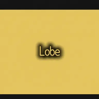 Profile image of Robe