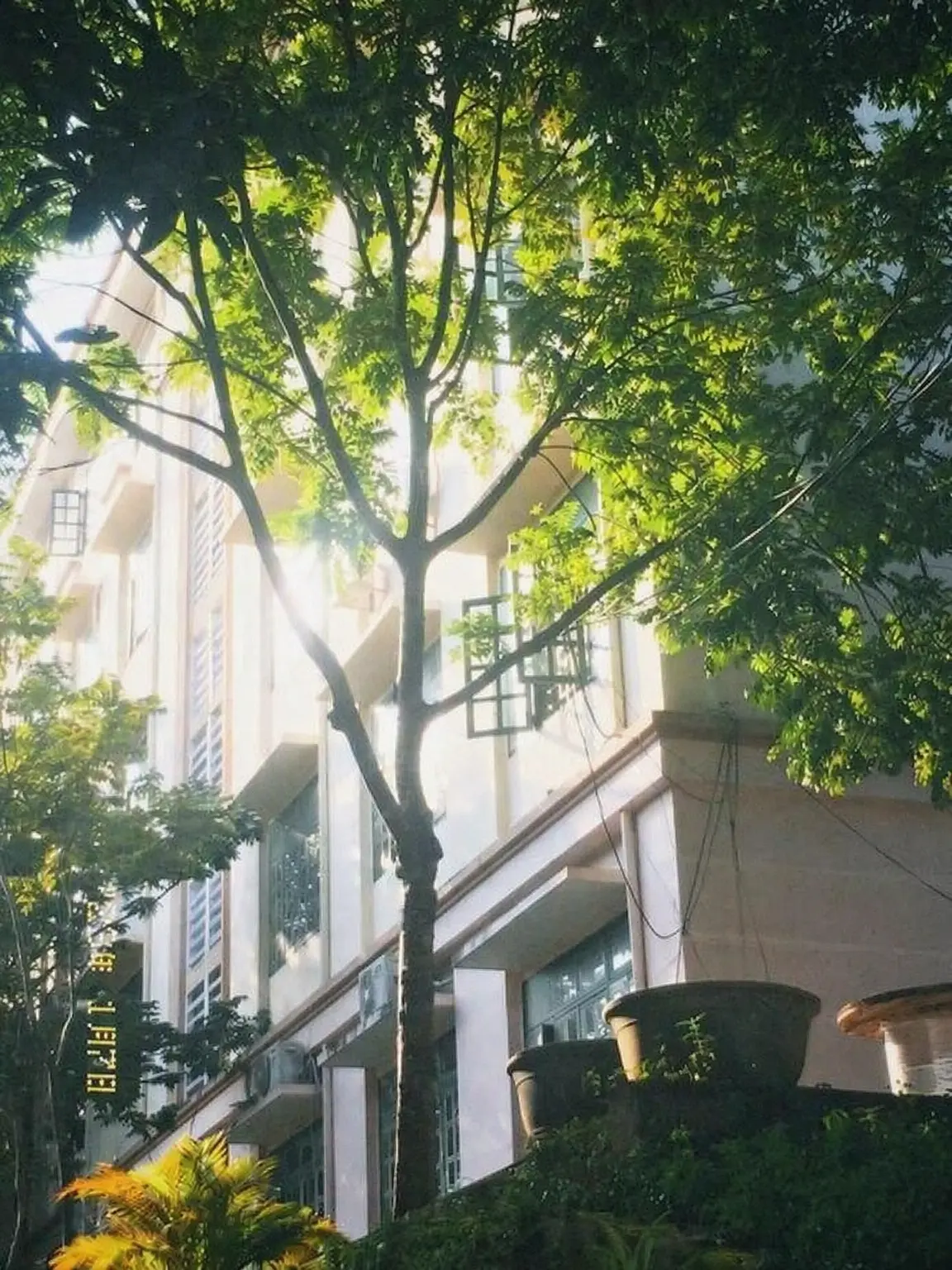YYYY_PIOA의 Ordinary School Life