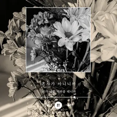 Profile image of 카와코