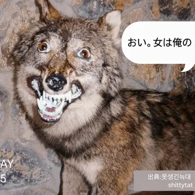 Profile image of ヌクテ