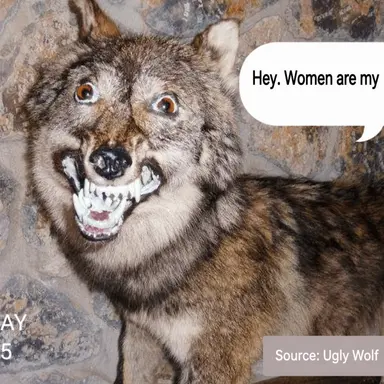 Profile image of Wolf