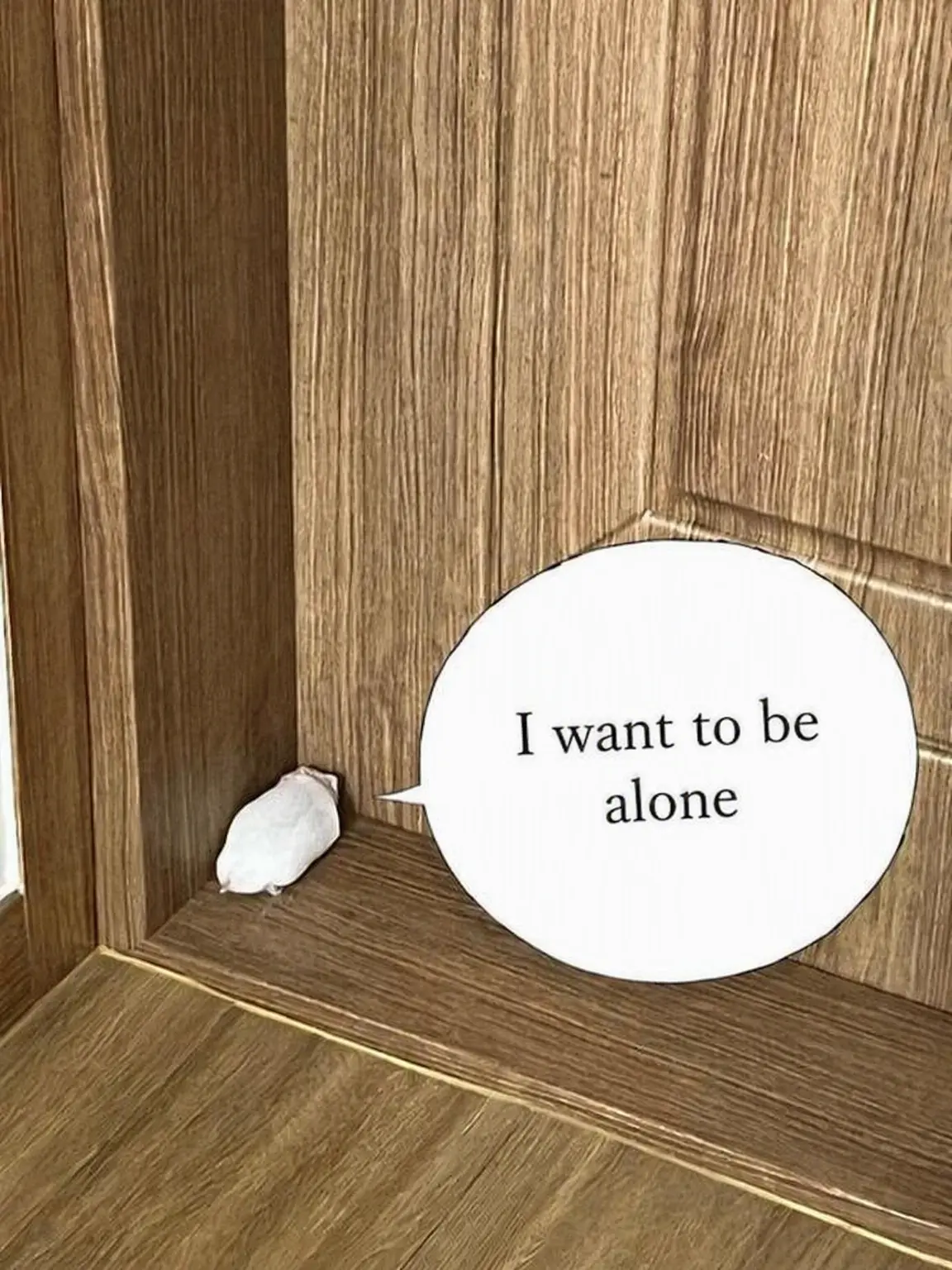 BroadBeago6042의 Roommates, but a Wolf is flirting with you;
