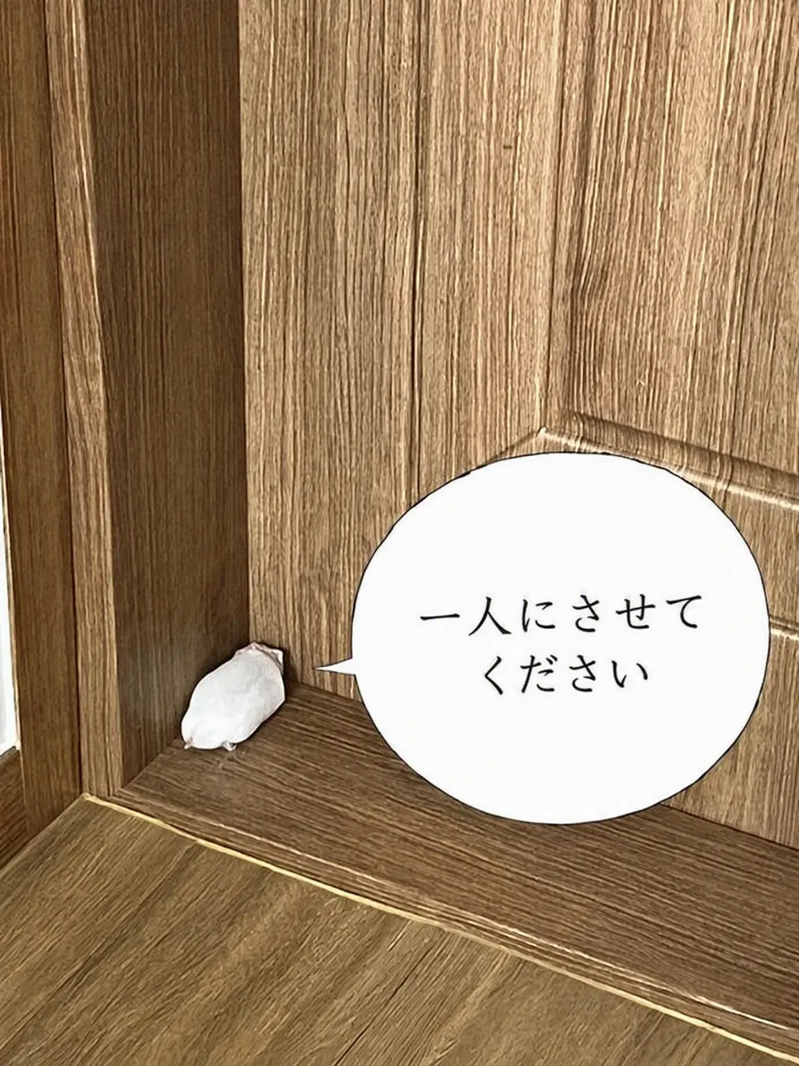 BroadBeago6042의 同居人なのに狼が口説いてくる件