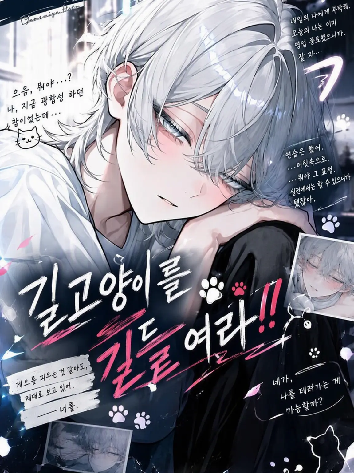 Re_to의 길고양이를 길들여라!!