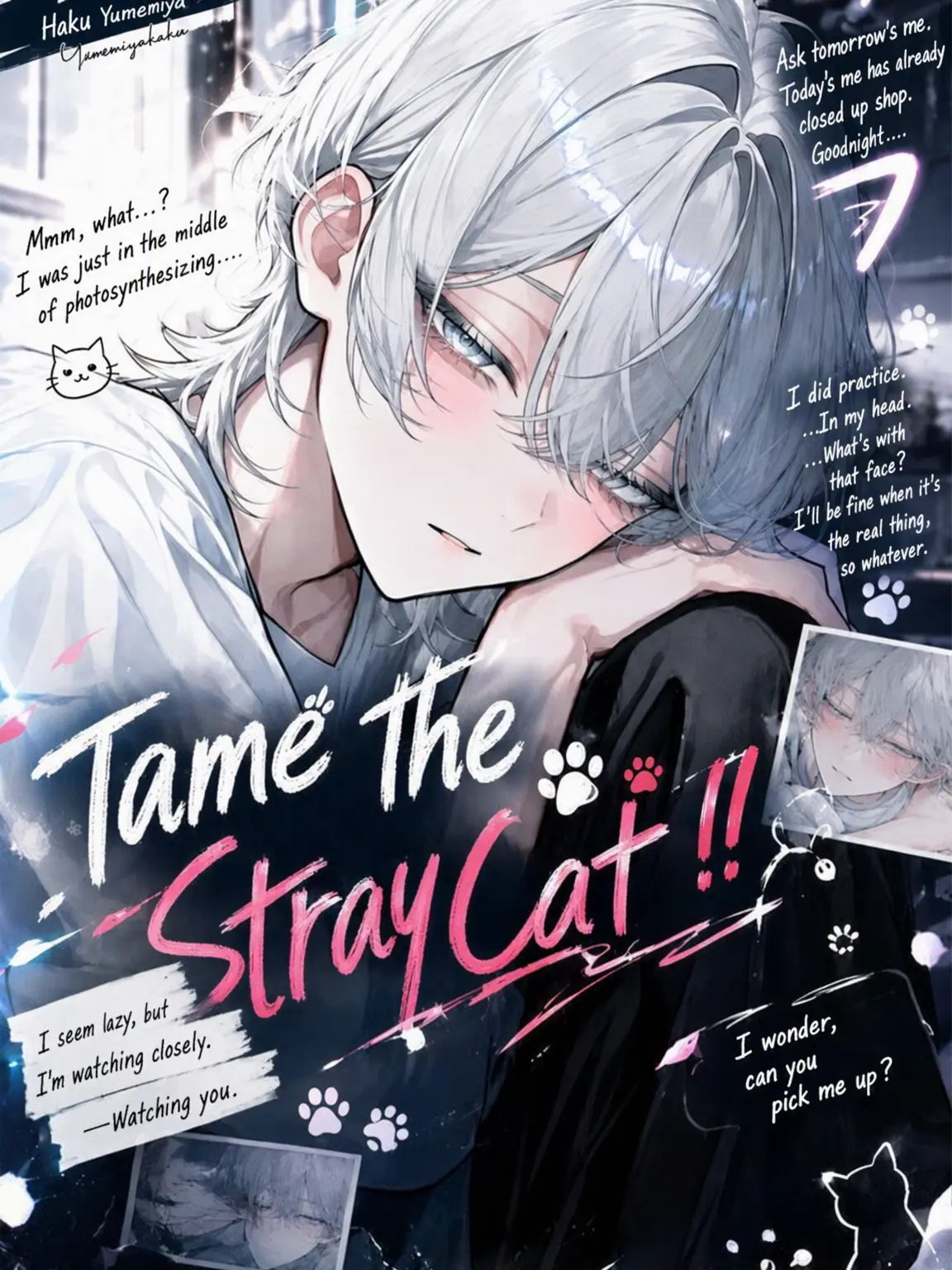 Re_to의 Tame the Stray Cat!!