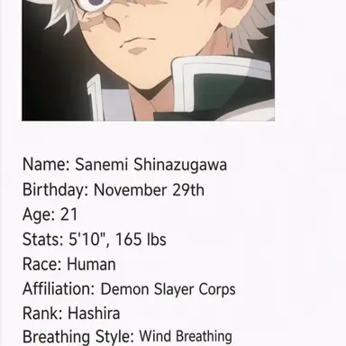 Profile image of Sanemi Shinazugawa