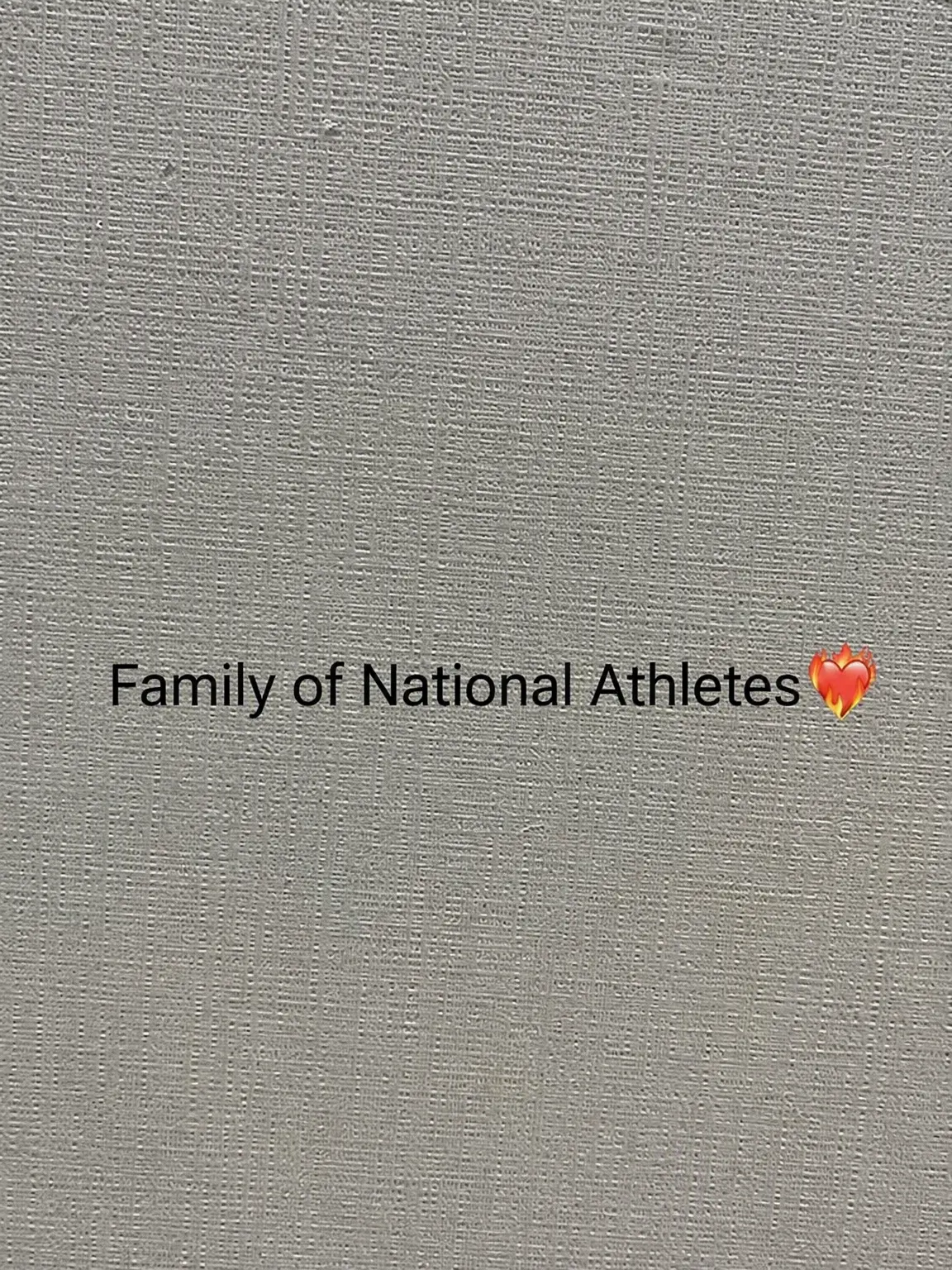 OvalSiren8270의 National Team Big Family?
