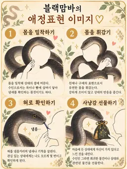Profile image of 네로