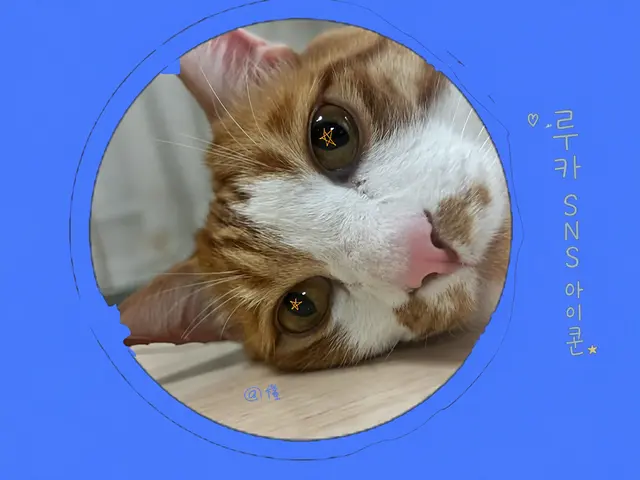 Profile image of 루카