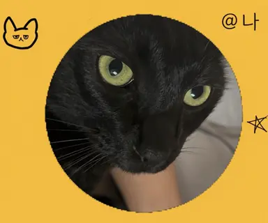 Profile image of 루키