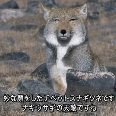 Profile image of クァク・ヨウ