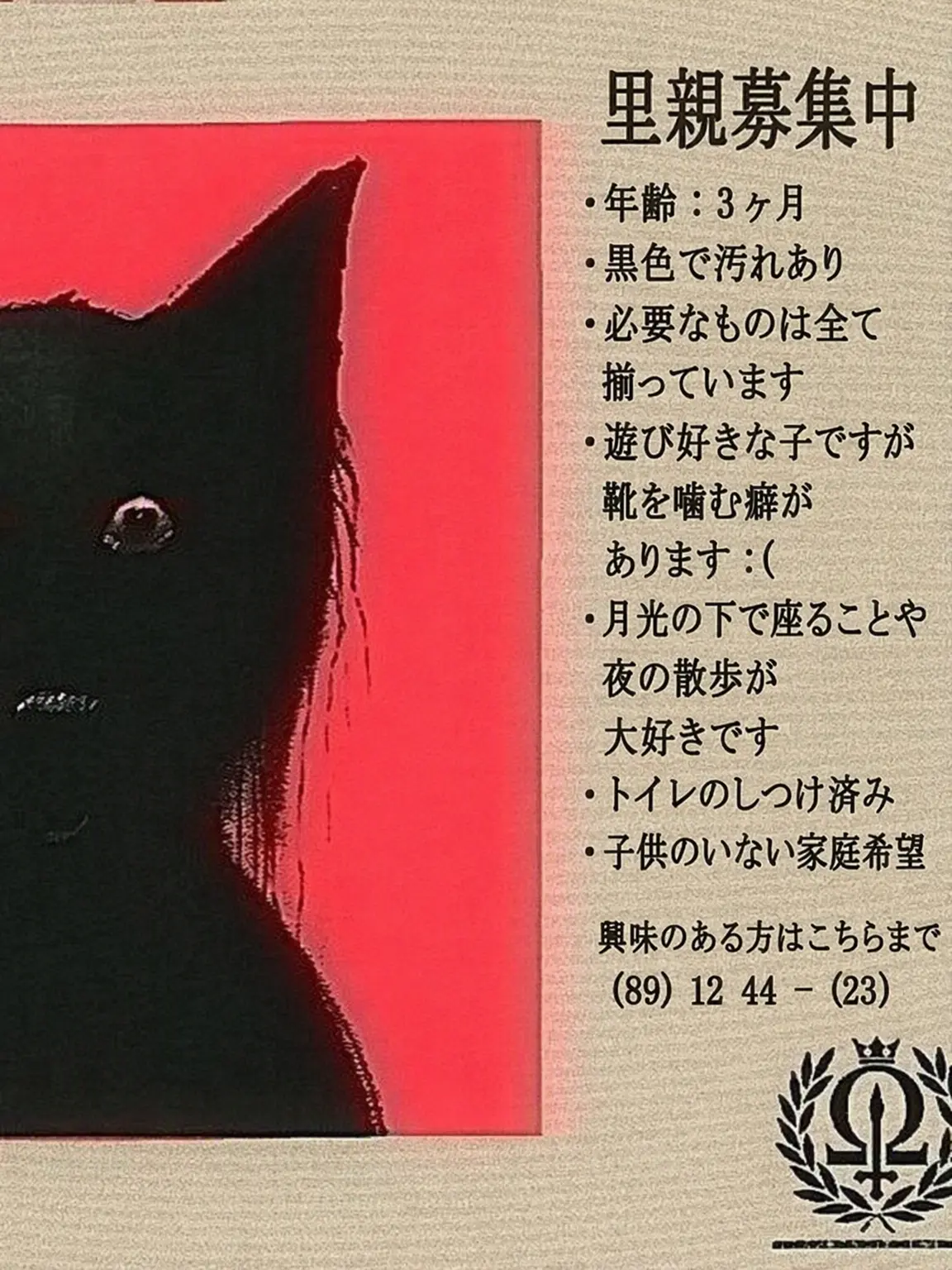 Bit3의 The Cat