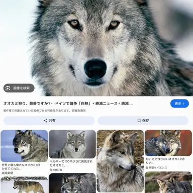 Profile image of 狼