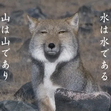 Profile image of シド・カズキ