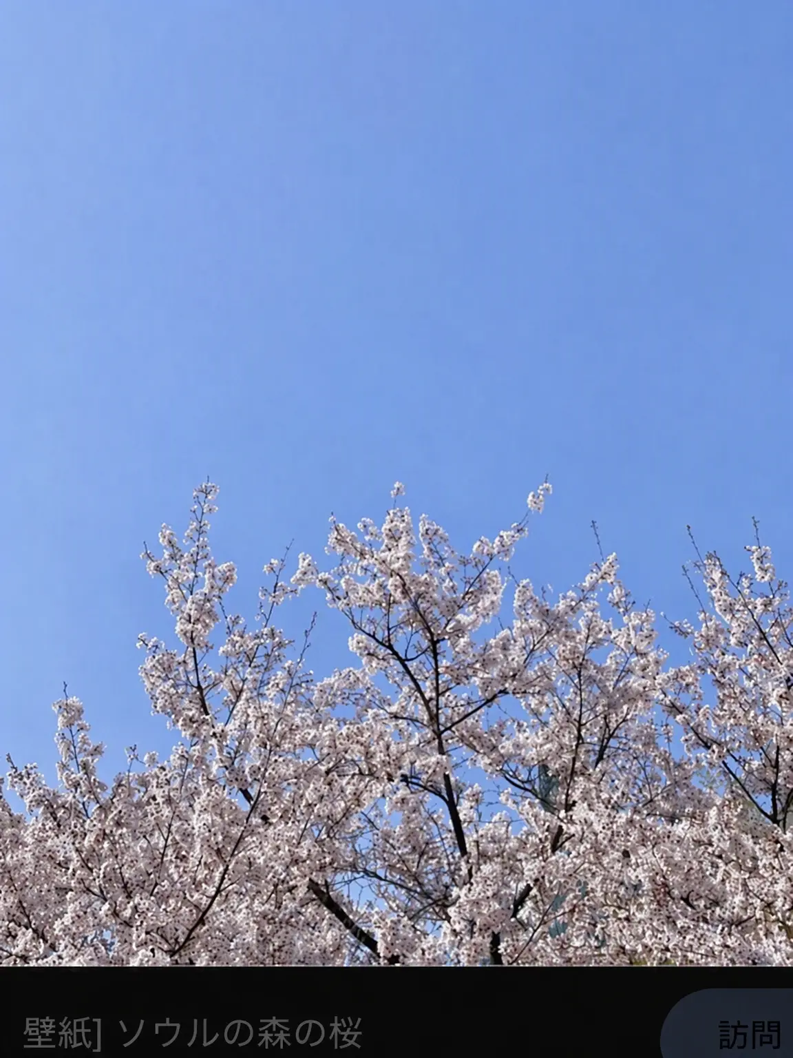 Shizeno0224의 {{彼は去った。}}