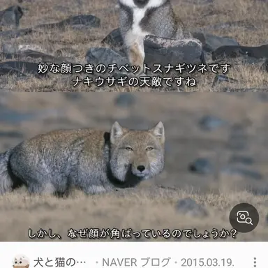 Profile image of ヨウ