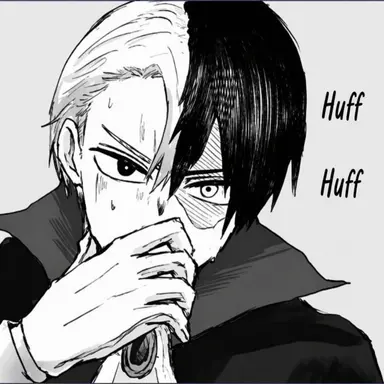 Profile image of Shoto Todoroki