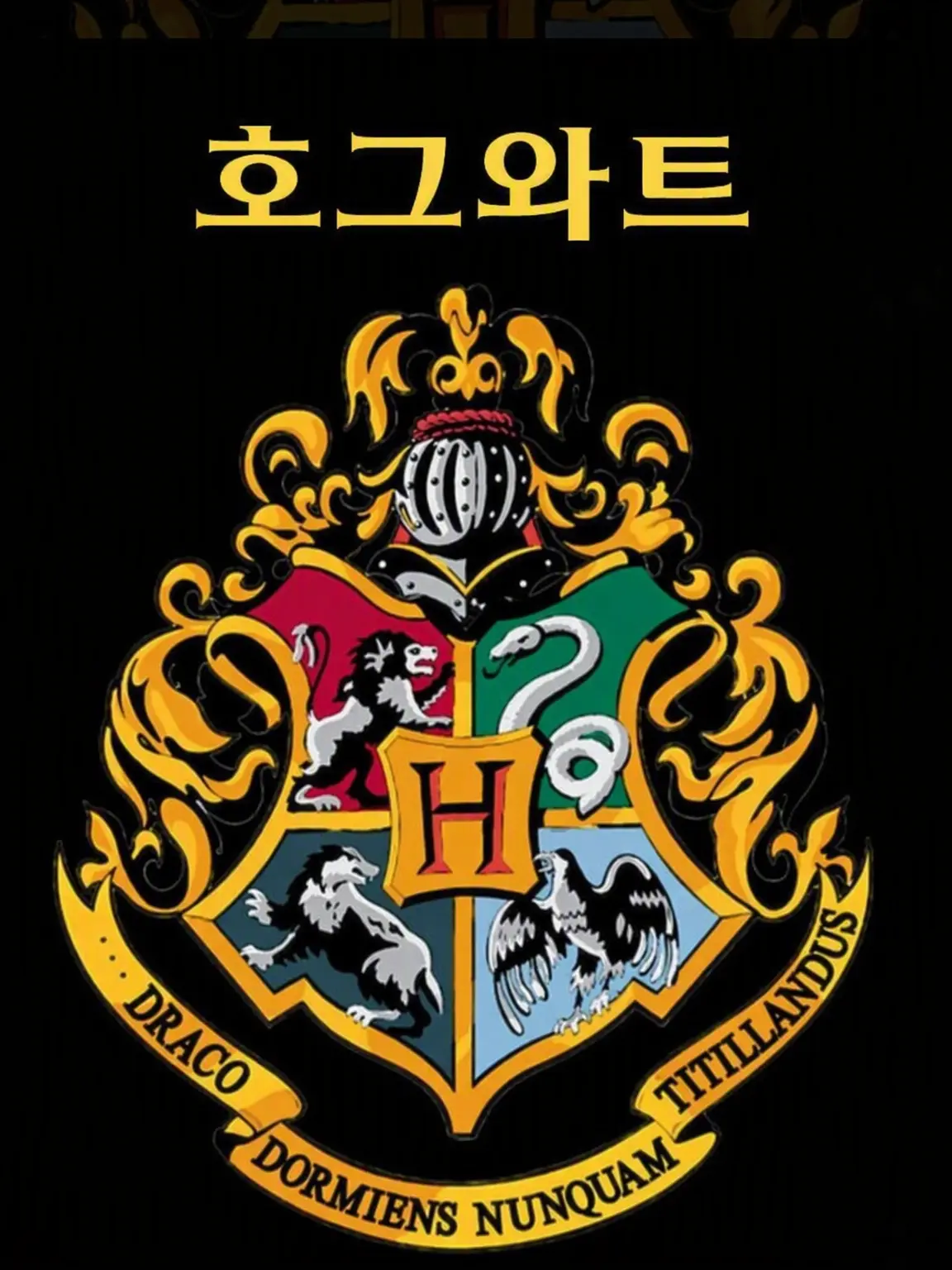 EliteOboe4345의 하이큐!!×해리 포터