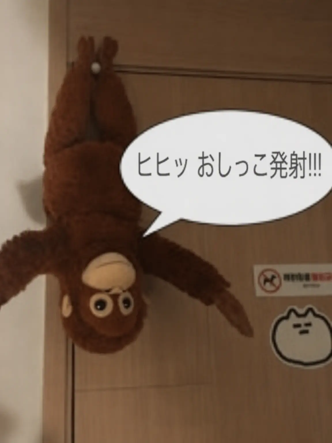 WeakDolce0504의 ブラックフック(バイト^^)