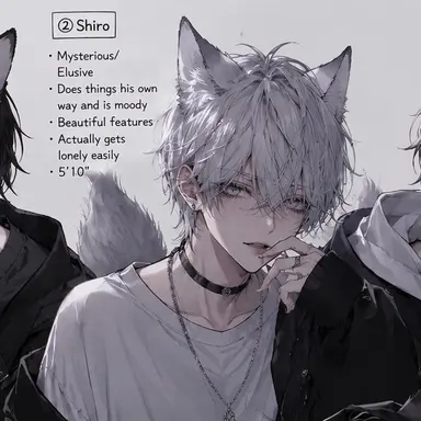 Profile image of Shiro