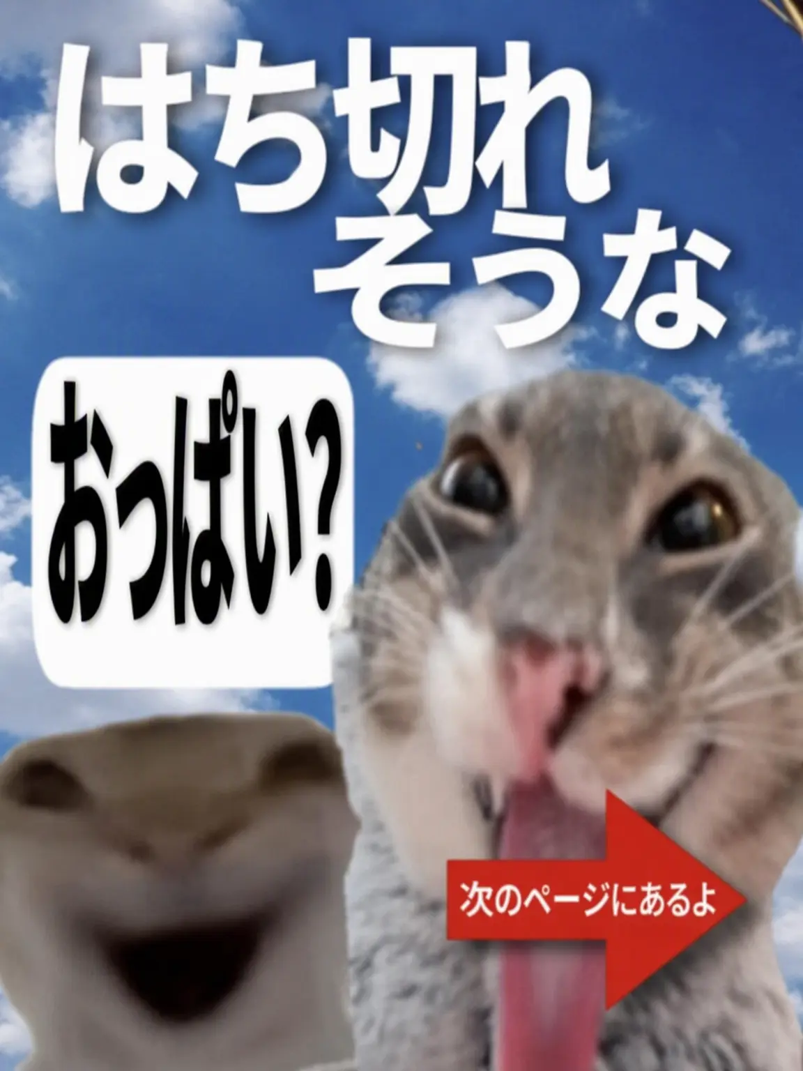 Cheongsi의 ドグサグに執着する者