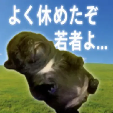 Profile image of バニー