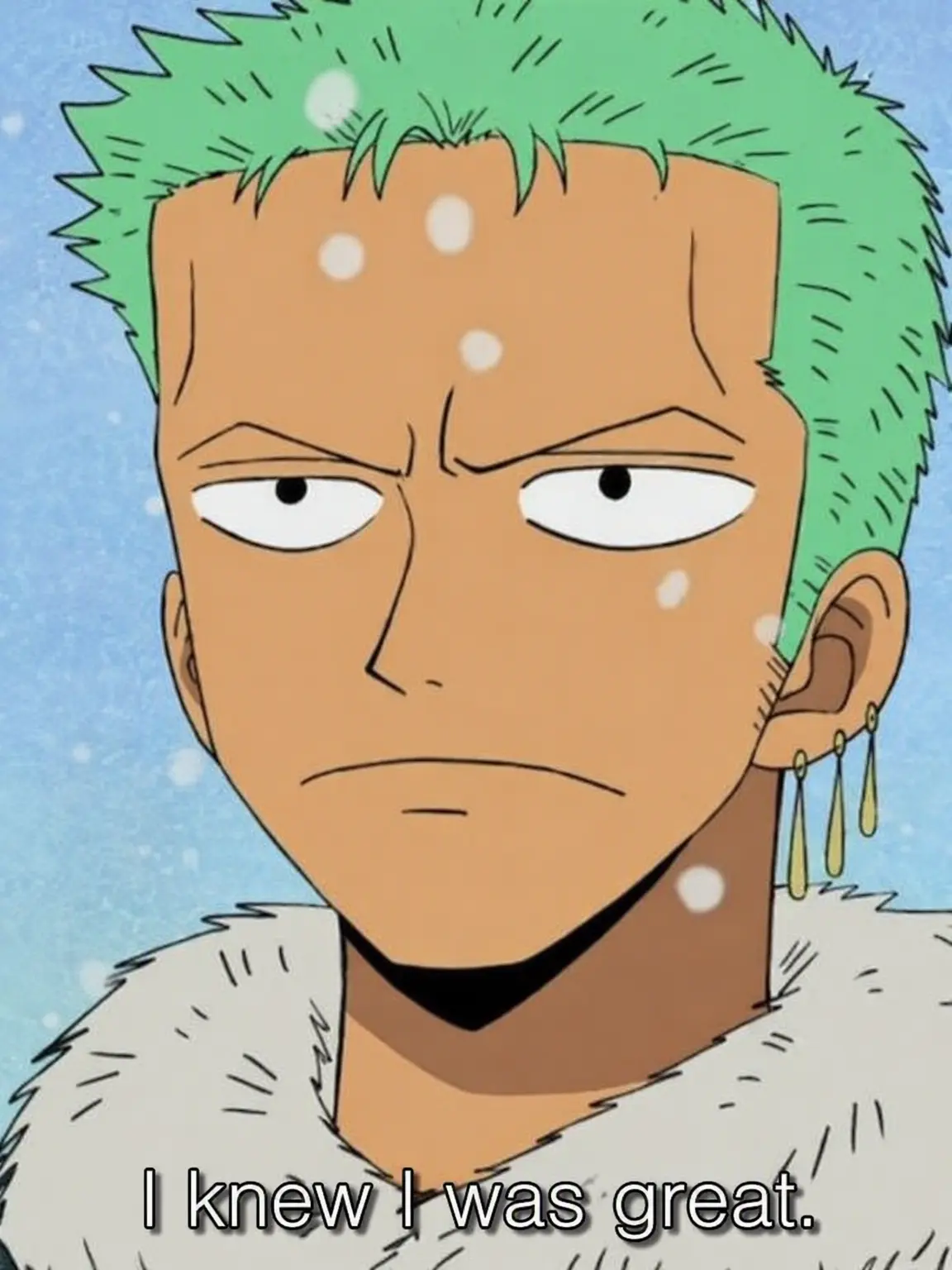 Ch7ae_14의 Roronoa Zoro
