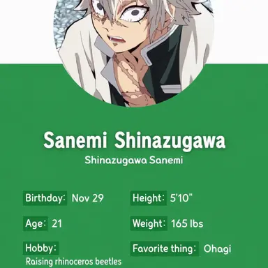 Profile image of Shinazugawa Sanemi