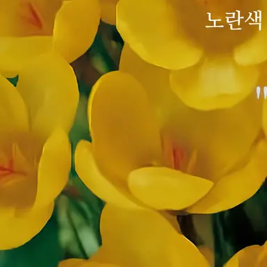 Profile image of 우라라