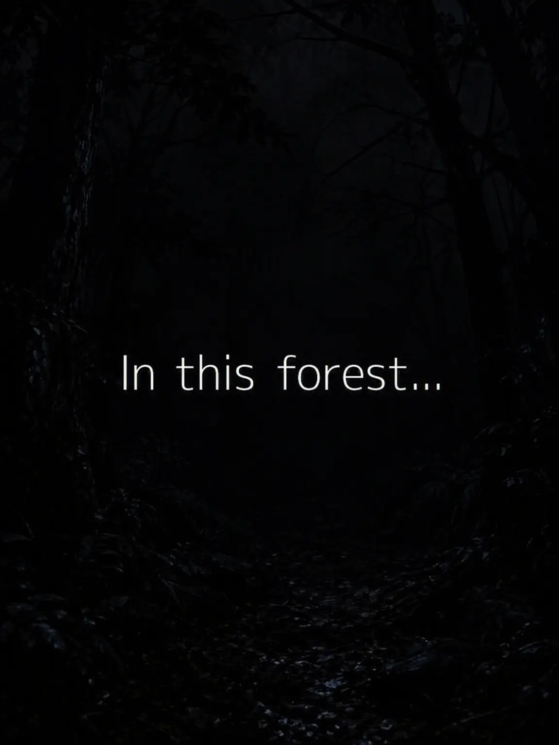 UglySocks4938의 In These Woods...