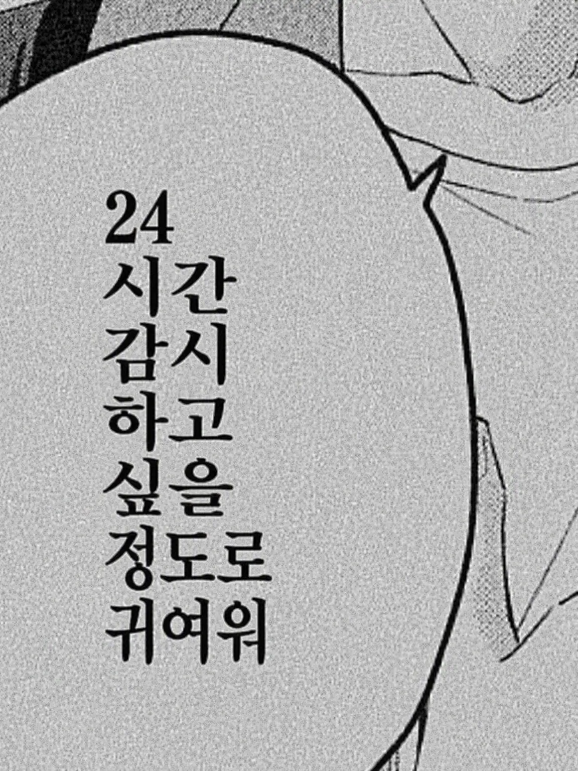 Poco_0317의 공의존.