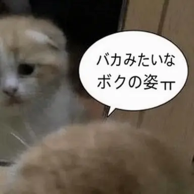 Profile image of ヨウ
