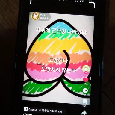 Profile image of 컬러풀 피치 남자팀