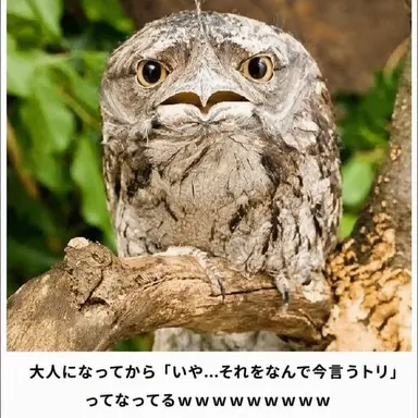 Profile image of キャプテン・アメリカ