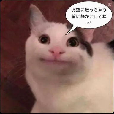 Profile image of キツネ