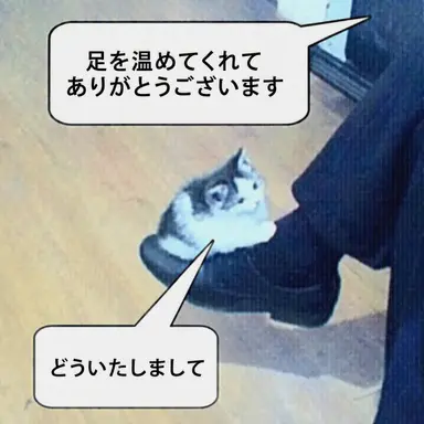 Profile image of 思いのままに2
