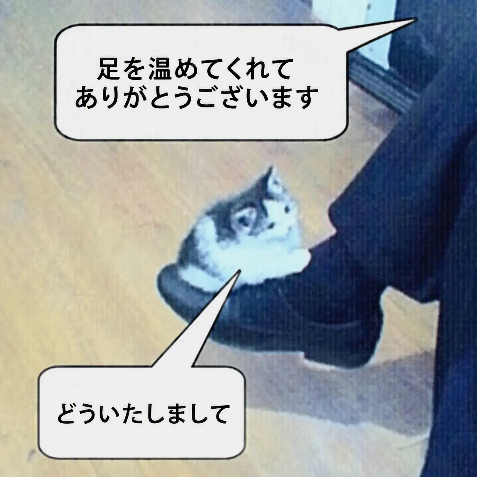 xeo_7.yzn의 思いのままに2