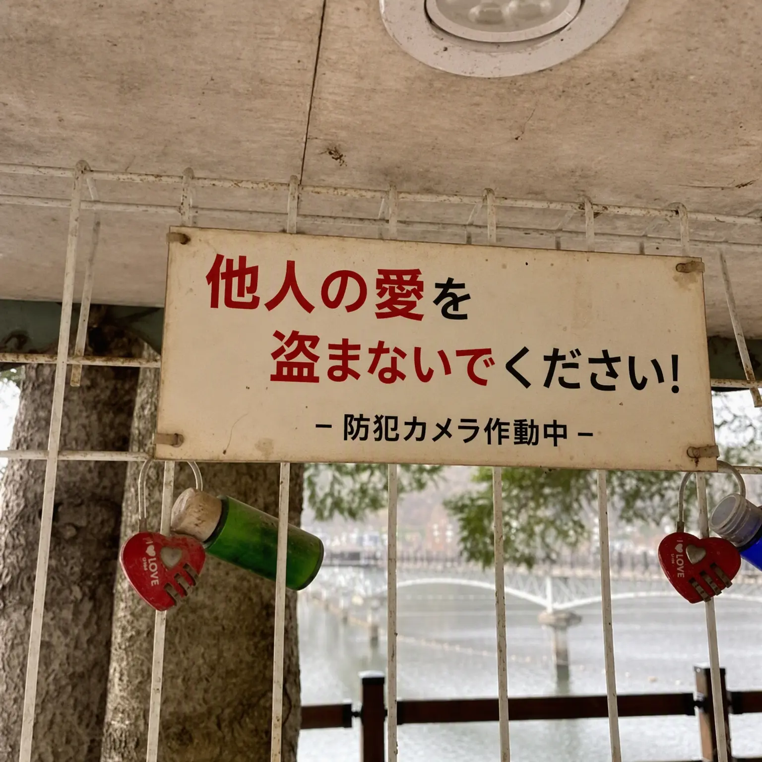 iiino의 彼氏略奪♡