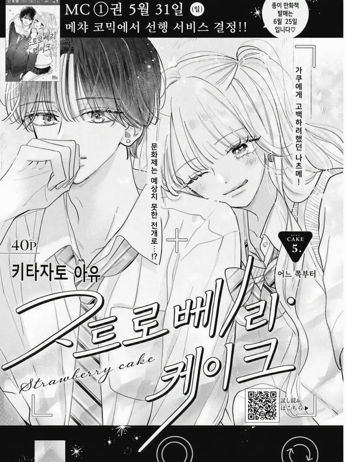 SkinnyGesso0235의 스트로베리 케이크