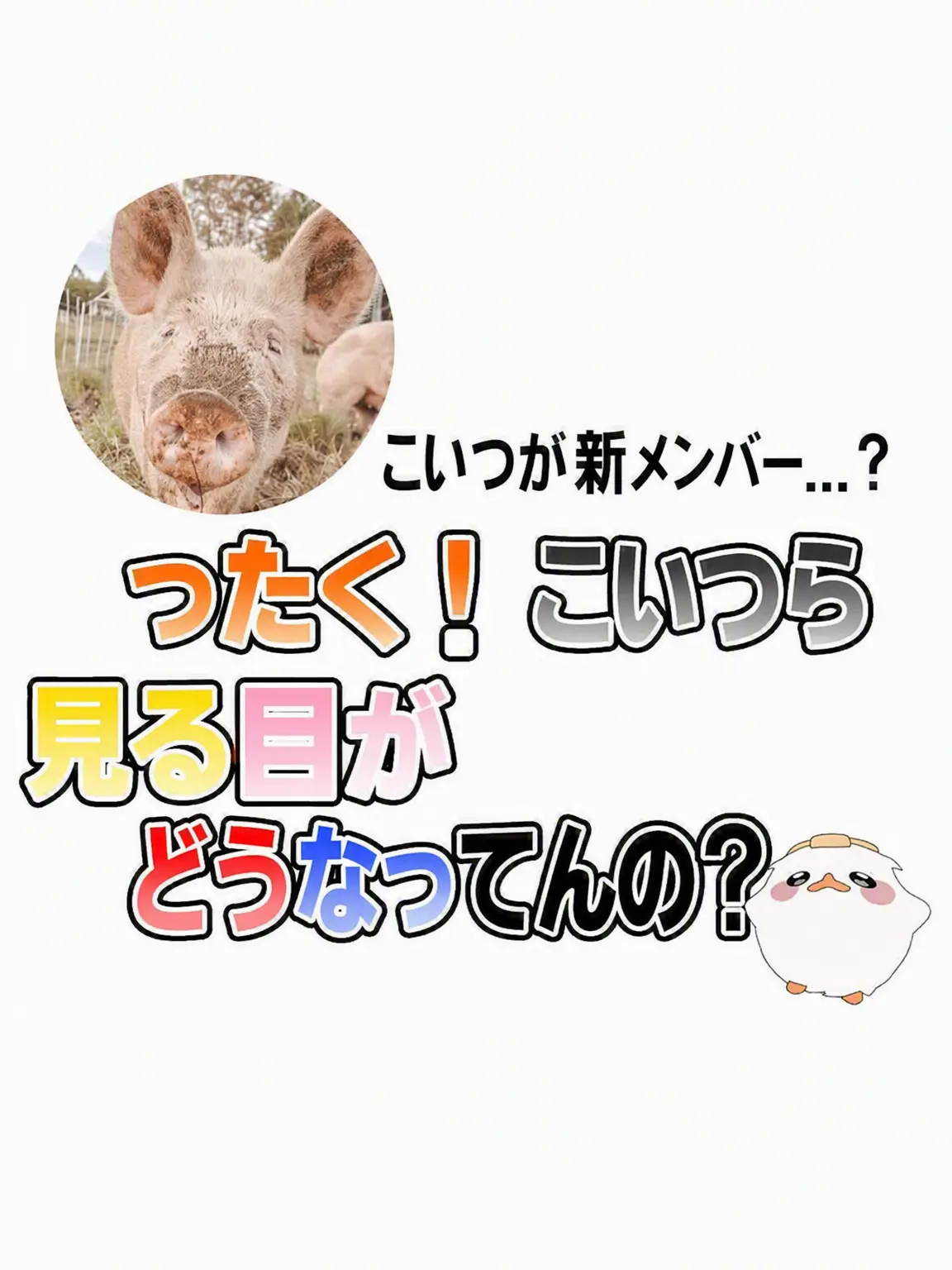 Hanna_11의 エライ！こいつらの見る目どうなってんの？