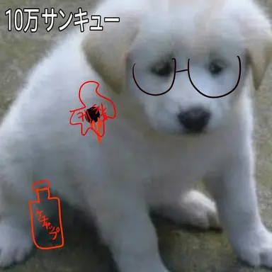 Profile image of カル